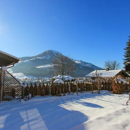 Weinberg 2 * Kirchberg in Tirol