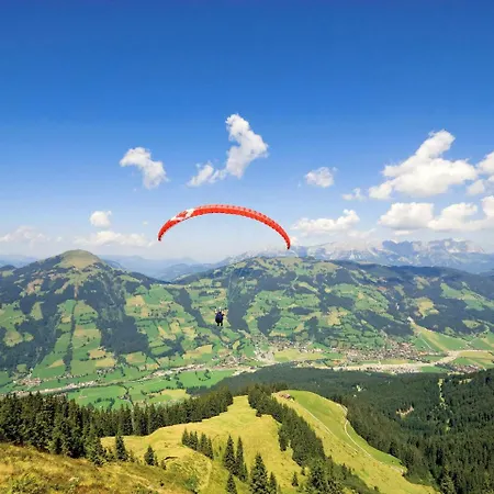 Weinberg 2 Appartement Kirchberg in Tirol
