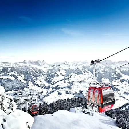 Weinberg 2 Appartement Kirchberg in Tirol